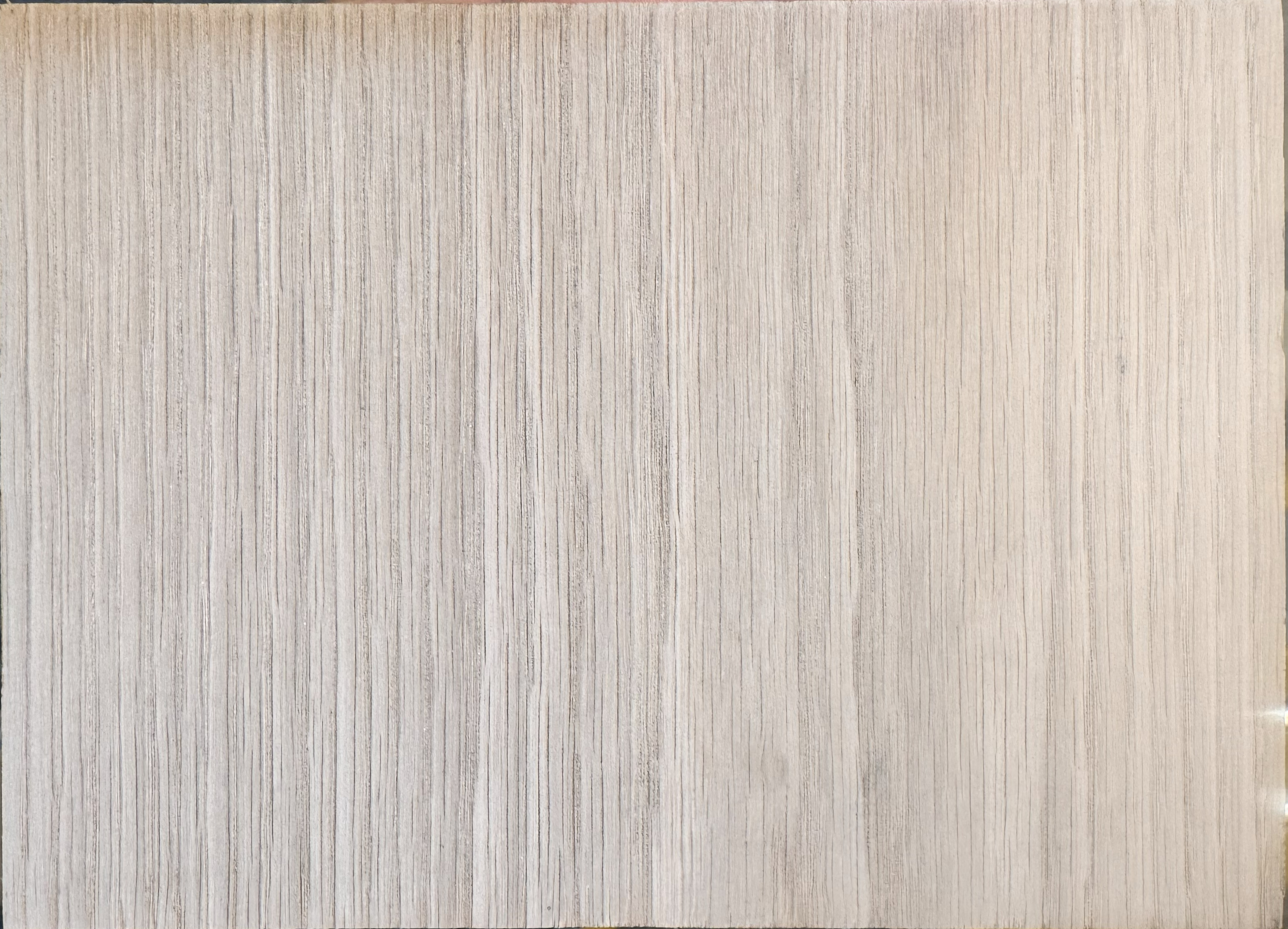 Dog Lead holder - Custom